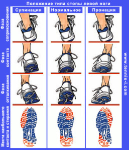 tennis-i_running_shoes_6.jpg_1385476102