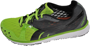 pumafaasgreengrey