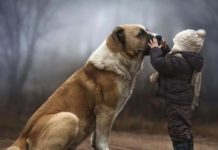 Как выбрать детскую куртку или комбинезон